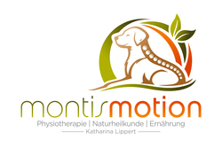 montismotion.de
